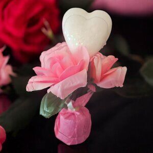 Potted Rose (White and Pink)